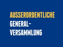 Außerordentliche Generalversammlung